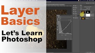 Basics of Layers: Let's Learn Photoshop