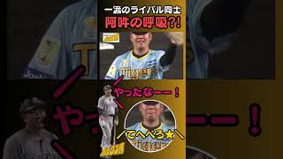 【永遠のライバル】投手・西勇輝 vs 打者・菅野智之 二人にしかわからない世界（2024年9月1日 阪神－巨人）#サンテレビボックス席