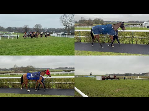 Swingingonthesteel and Supreme George run at Sedgefield | Day At The Races