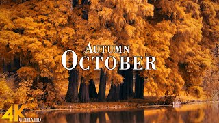 October Autumn 4K Ultra HD • Enchanting Autumn October, Scenic Relaxation Film with Calming Music.