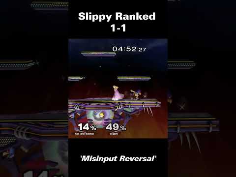 Misinput Reversal