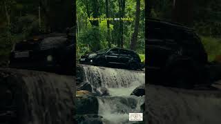 Calm music for peace and relaxation.  #prakshant #nature #natureaudio #healingwithnature #shorts