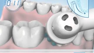 Oral B | How To Brush Your Teeth with an Electric Toothbrush