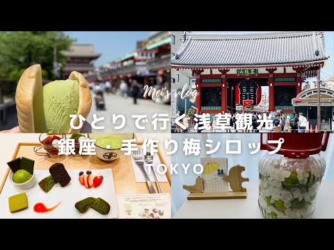 Tokyo Vlog｜Sightseeing in Asakusa｜My Day Off in Ginza and Shinjuku｜How to make Japanese plum syrup