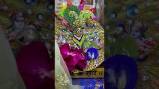 Krishna shorts #shyam #shorts #shreekrishna #programerved