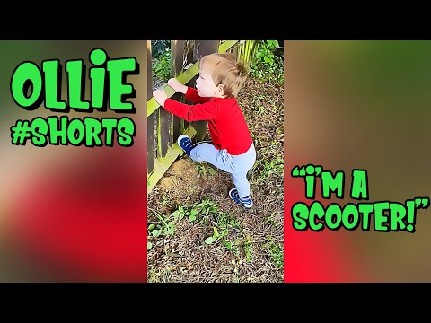 Ollie thinks he's a scooter [Ollie's Adventures #Shorts]