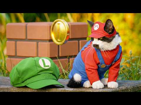 Super Mario CAT Bros!