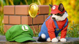 Super Mario CAT Bros!