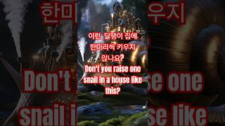 이런 달팽이 집에 한마리씩 키우지 안나요?Don't you raise one snail in a house like this?