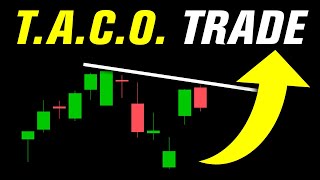 The Trump TACO Trade & NVDA Earnings