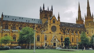 9am Mass St Mary's Cathedral Sydney for the Feast of the Visitation 31 May 2025
