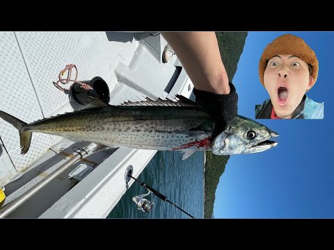【釣り】宮島近海でサワラしばきまくった動画。