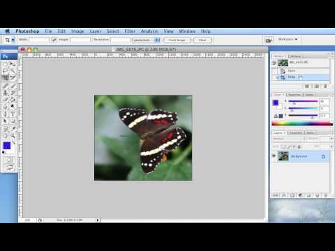 Resizing and Cropping Photos, Part 2 of 2