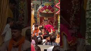 बांके बिहारी श्री धाम वृंदावन लाइव दर्शन