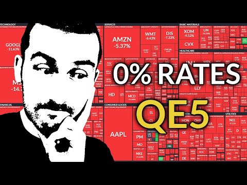 Fed PANICS, Cuts Rates to ZERO, & WORST Day in Stock Market Since 1987! - What Now?