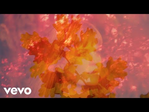 Gulp - Morning Velvet Sky (Official Video)