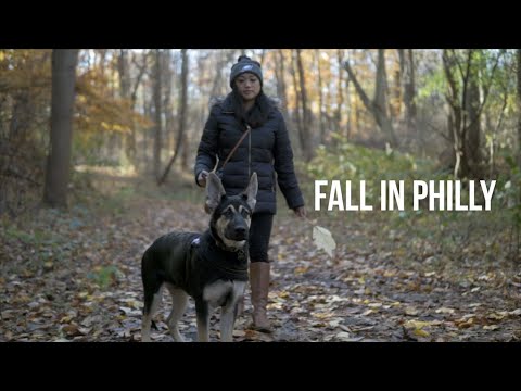 Autumn in Philadelphia featuring Sony the German Shepherd!  l  Sony A6000  l  Mavic Pro
