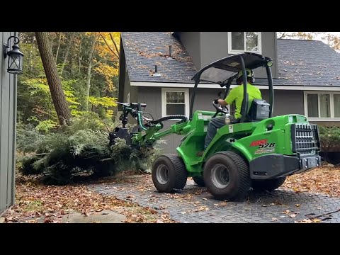 Vanderkooi Tree Certified Arborist Muskegon Michigan