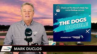 The Dogs Double - Sun March 5, 2023