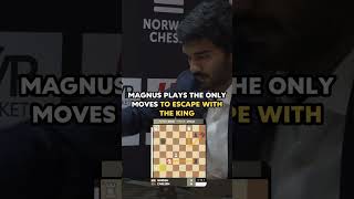 The Story of Magnus vs. Gukesh Game in Norway Chess