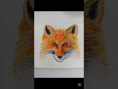30 Saniyede Tilki Çizimi 🦊 #foxdrawing #tilkiçizimi #markerart #shorts #drawing #speedart #artshorts