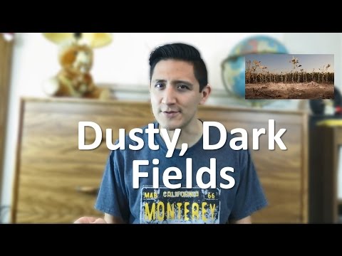 Dusty, Dark Fields // Daniel Nava