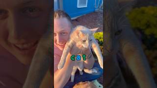 Spell Cat - I Say You Say #learnenglish #learntospell #3letterword