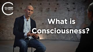 Anil Seth - What is Consciousness: Data or Information?