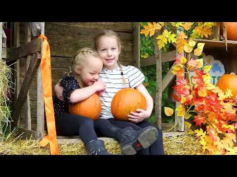 Bocketts halloween