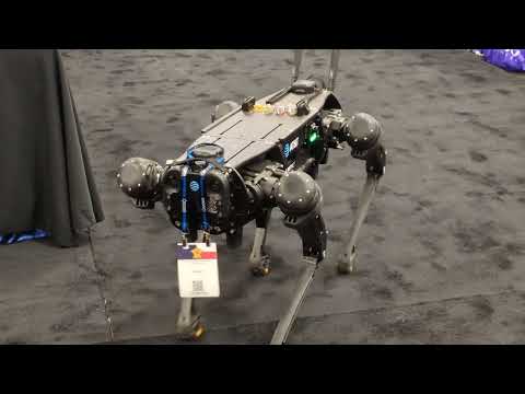Robotic K9 July 22, 2024