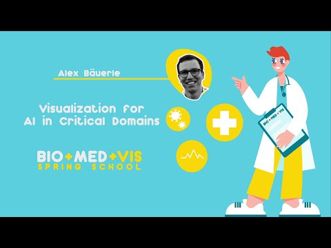 BioMedVis Spring School | Visualization for AI in Critical Domains