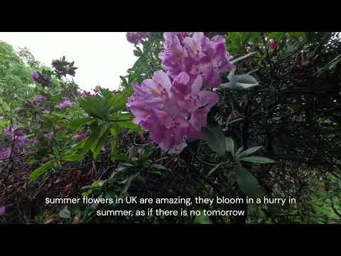 My walk to the Office through 2 beautiful parks Kent UK