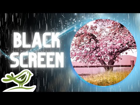 [NO ADS] Our Journey | Soft Rain Sounds & Relaxing Piano Music for Sleep with Black Screen