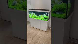 🌊 “Reef Tank – A Mini Ocean at Home” 🐠✨ #aquariumlife #fishtank #insiderfish #aquascapegallery