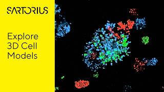 Transforming Cell Analysis: How Incucyte® CX3 Solves Research Challenges with 2D & 3D Assays