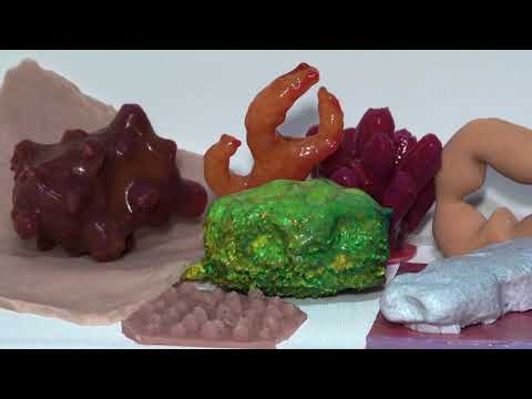 "It Brings The Good Vibes": Exploring Biomorphic Aesthetics in the Design of Soft Personal Robots