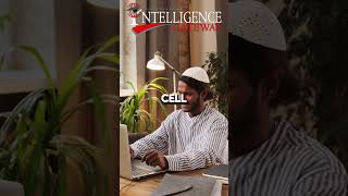 What is an expression vector?