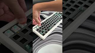 Building a custom keyboard from AliExpress using the GMK67 😵‍💫 #shorts