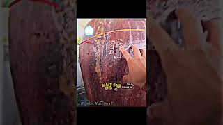 #video #youtubeshorts #todayearningapppaytmcash #todayyoutubeupdate