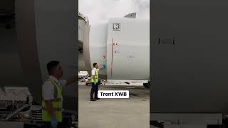 Opening the Engine Fan Cowl | Aircraft Maintenance in Action