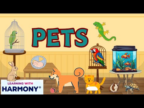 FUN WITH PETS - LEARNING WITH HARMONY