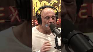 Joe Rogan Offends Katt Williams with Menthol Cigarette Question | JRE Podcast Reacts
