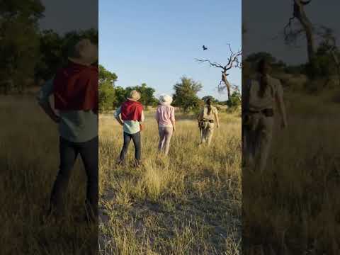 Indulge in the ultimate South African adventure, where luxury meets the wild!