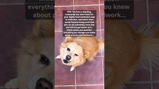 The ultimate dog treat taste testing fail!! #dog #dogtreats #funnydogs #sillypets