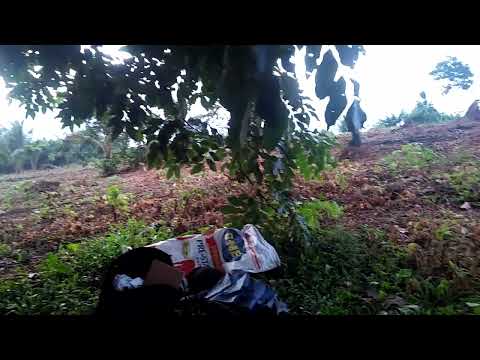 Intro to Nature Farming