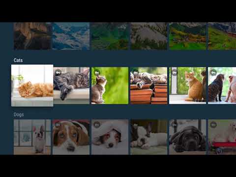 Live Weather Wallpaper for Android TV and Firestick