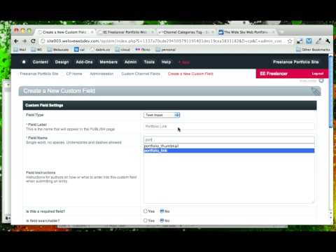 Creating the Custom ExpressionEngine Fields for the Portfolio Page (22/25) DaBrook EE Tutorial