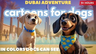 Luna & Ryo in Dubai 🌴🐶 | Cartoons for Dogs, in Colors they can see | Relaxing Music and TV for Dogs