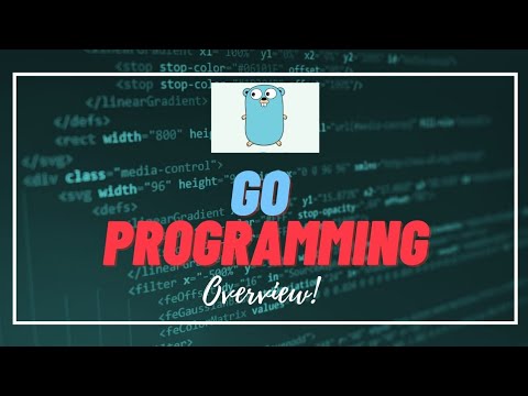 Overview of Go programming language #goprogramming #programming #programminglanguage