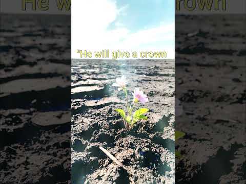 god make beauty from ashes #motivation